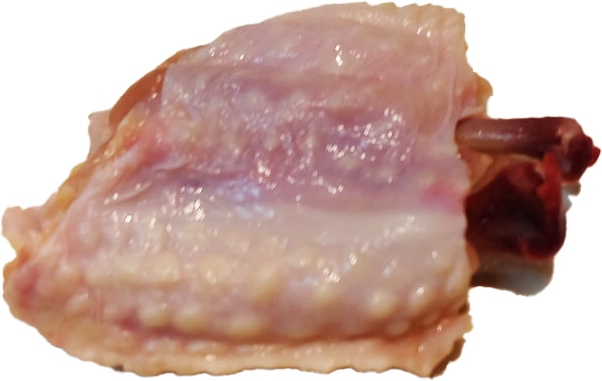 なか手羽工程２